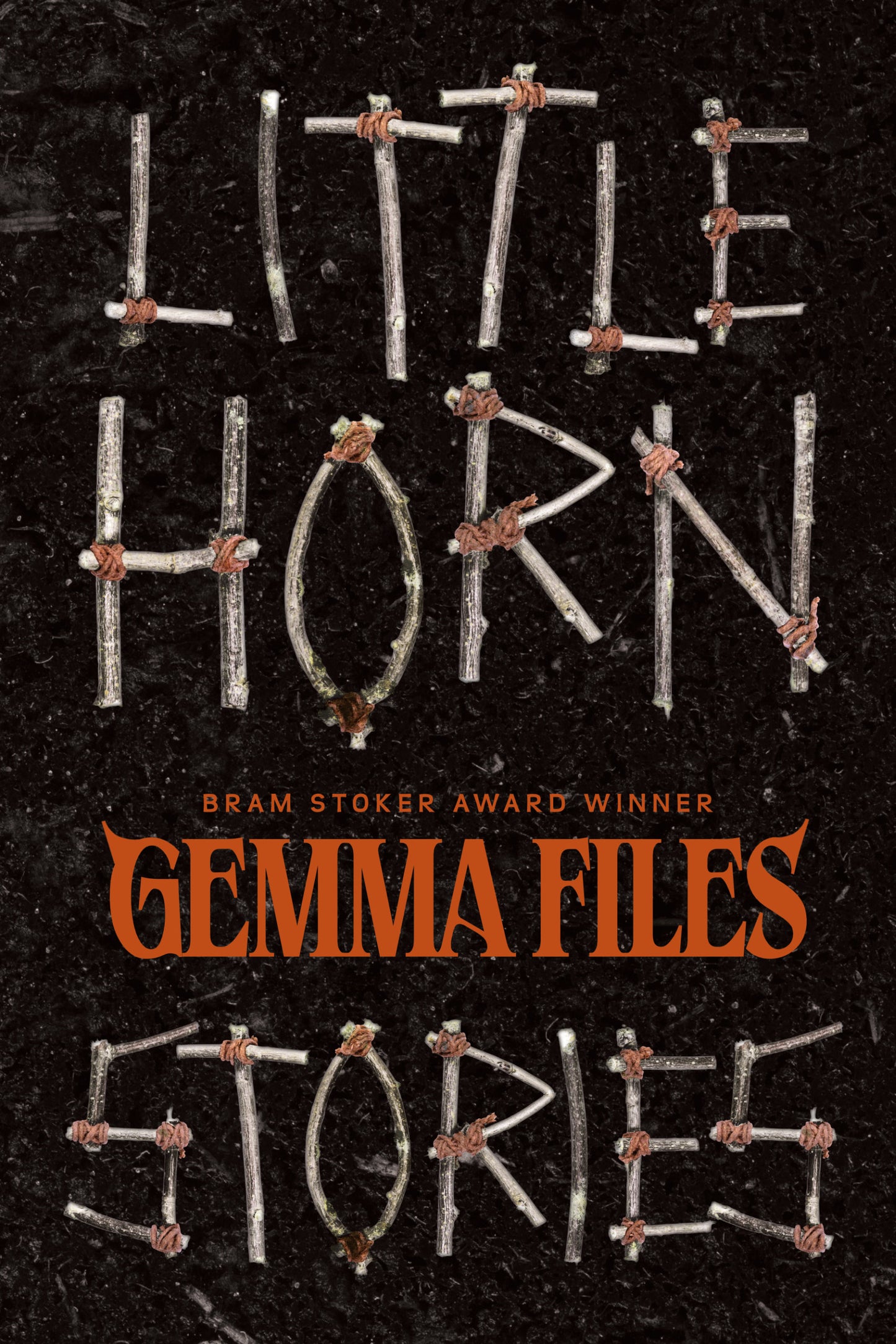 Little Horn: Stories (Paperback)