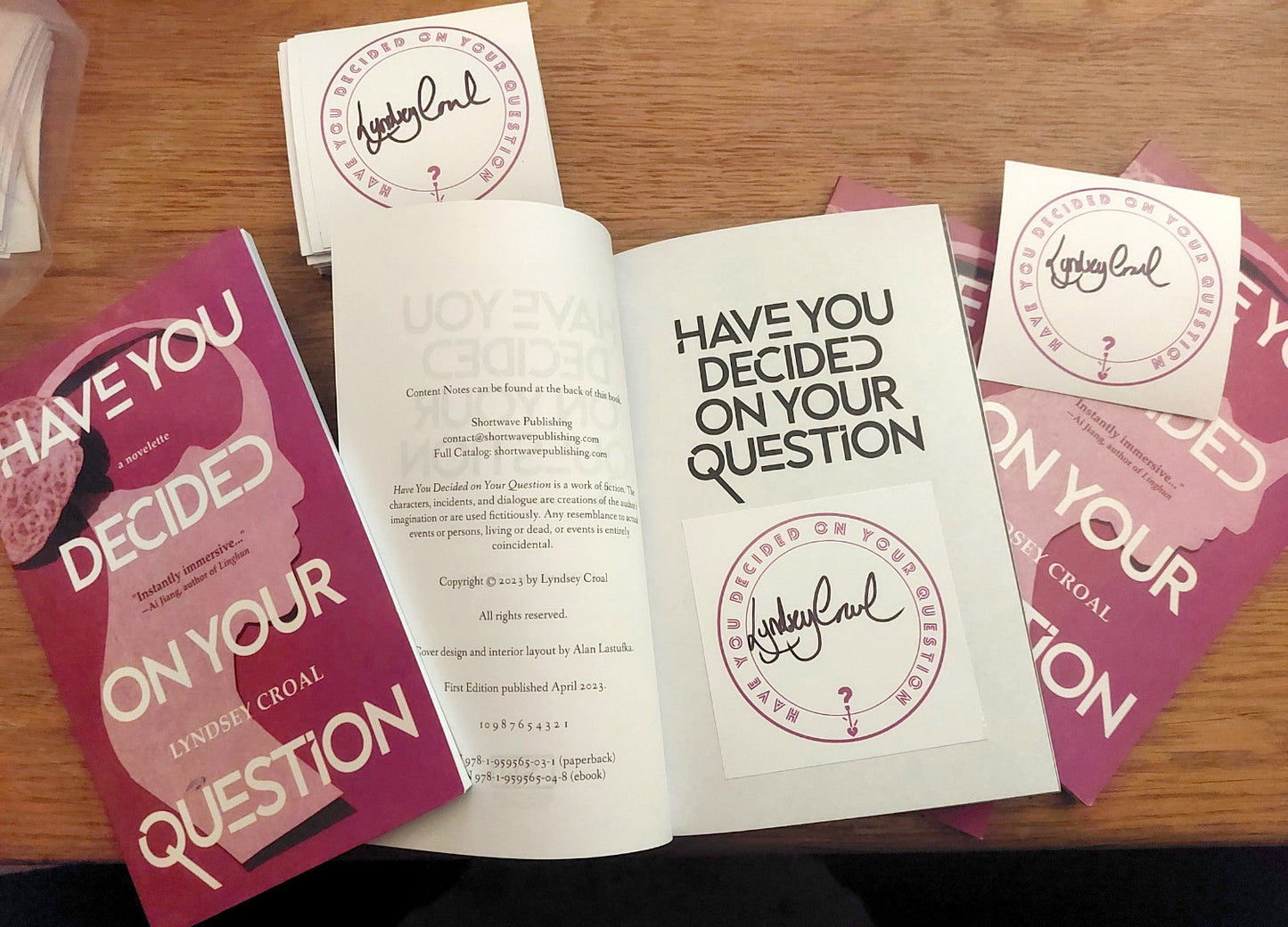 Have You Decided on Your Question: A Novelette (Paperback)