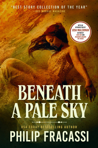 Beneath a Pale Sky (Paperback)