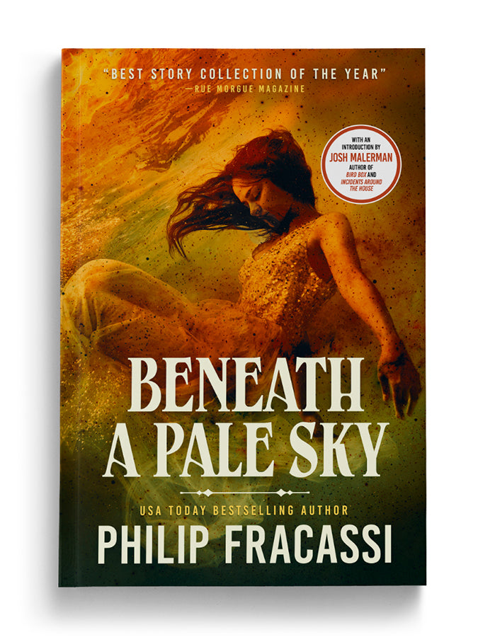 Beneath a Pale Sky (Paperback)